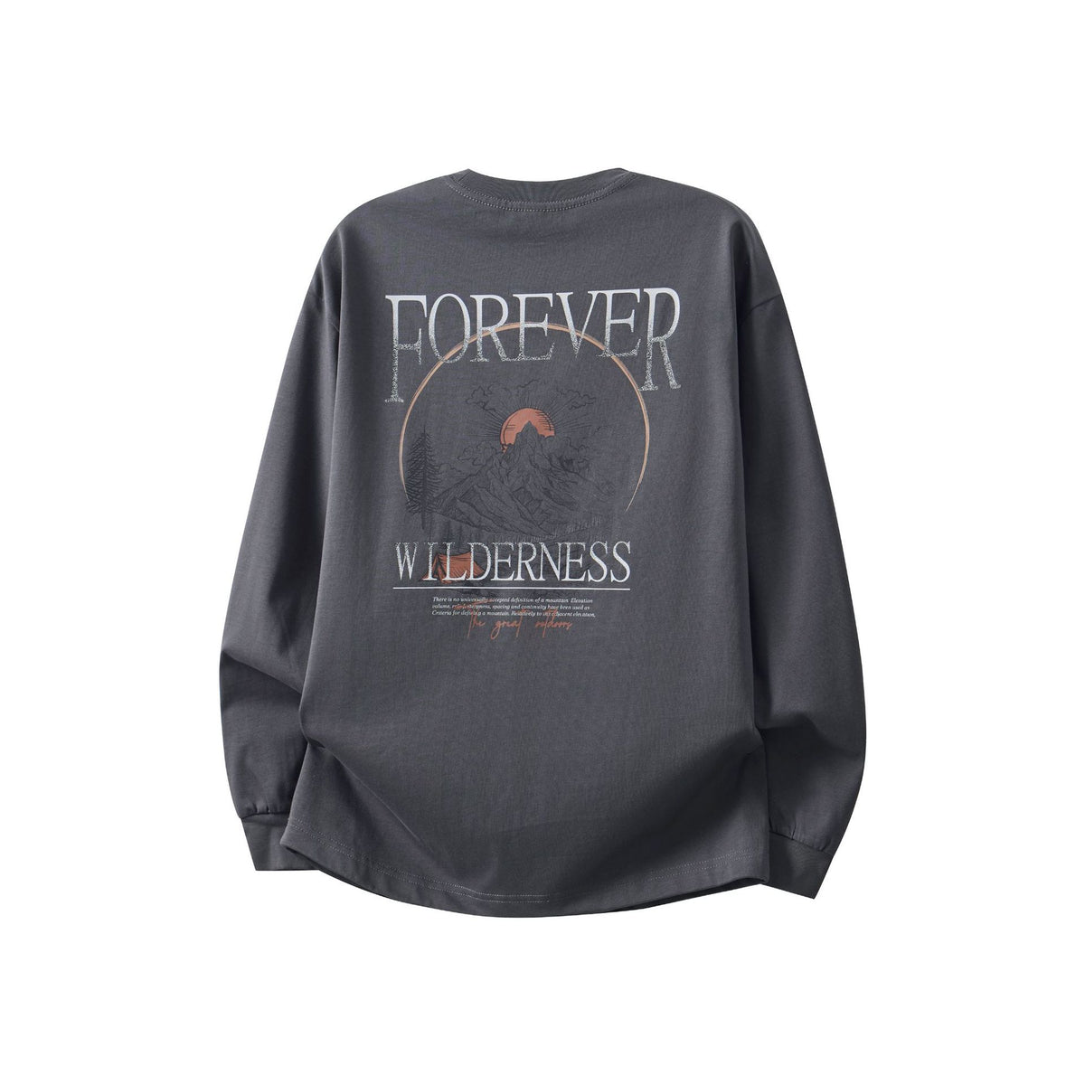 Letter Print Long Sleeve Round Neck Men's T-Shirt